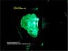 Picture of 3D-LED-SKULL-FILTER-AIR-GREEN-2021-01